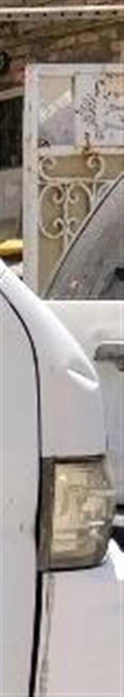 جينبي هايز